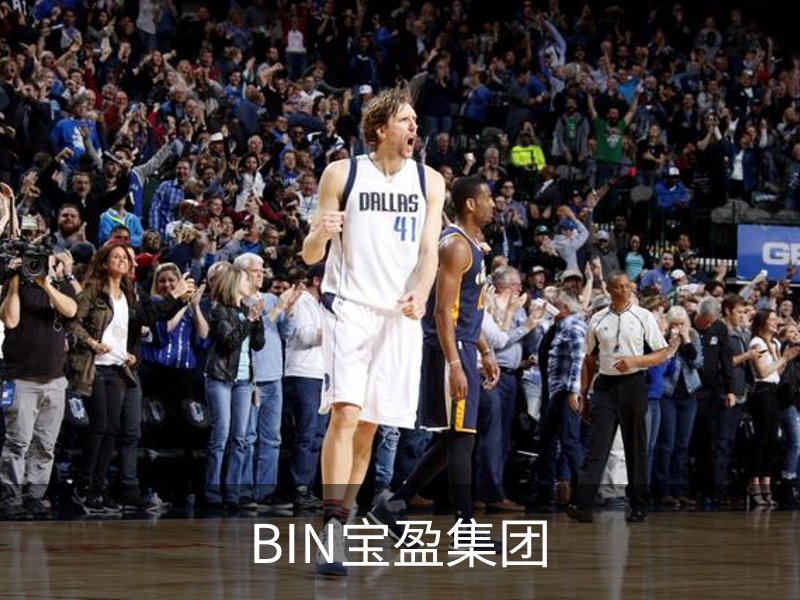 BIN宝盈集团简介